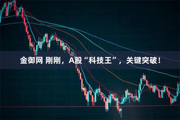 金御网 刚刚，A股“科技王”，关键突破！