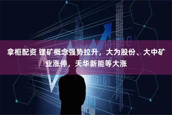 拿柜配资 锂矿概念强势拉升，大为股份、大中矿业涨停，天华新能等大涨