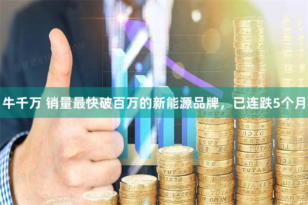 牛千万 销量最快破百万的新能源品牌,已连跌5个月