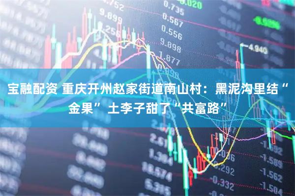 宝融配资 重庆开州赵家街道南山村：黑泥沟里结“金果” 土李子甜了“共富路”