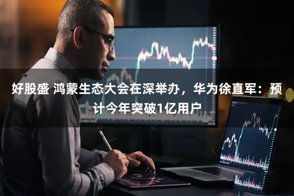 好股盛 鸿蒙生态大会在深举办，华为徐直军：预计今年突破1亿用户